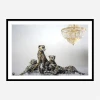 Framed Print 