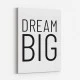 Dream Big Art Print