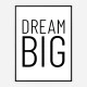 Dream Big Art Print